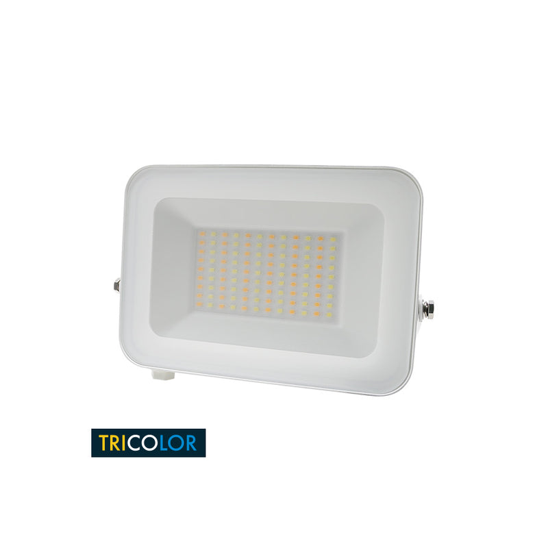 Dafne - Proiettore a led IP65 - 50W - 4600 Lumen - Tricolor - (401136)